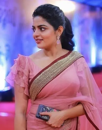 Ruffle Sleeve Blouse