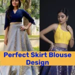 Perfect Skirt Blouse Design
