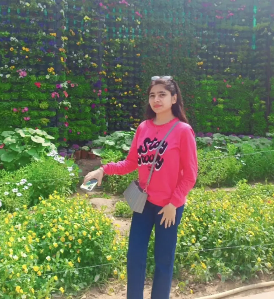 Simpal Adlakha Blouse design Author