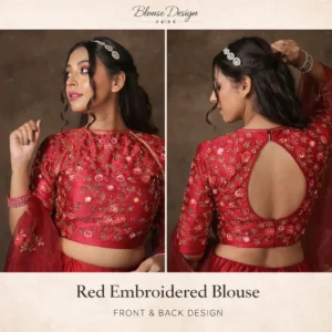 Ghagra Blouse design