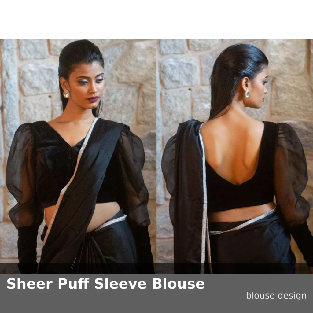 Sheer Puff Sleeve Blouse